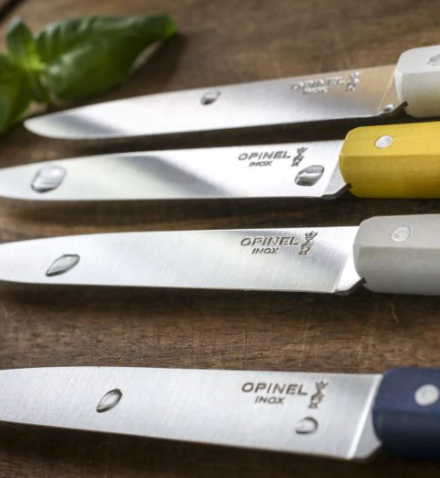 Box of 4 table knives  - Opinel