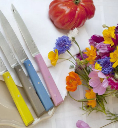 Box of 4 table knives  - Opinel